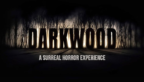 Трейнеры для Darkwood