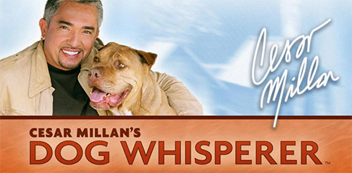 Сохранение для Cesar Millan's Dog Whisperer