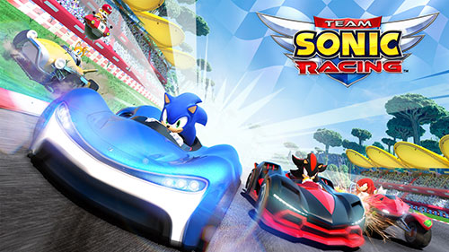 Трейнеры для Team Sonic Racing